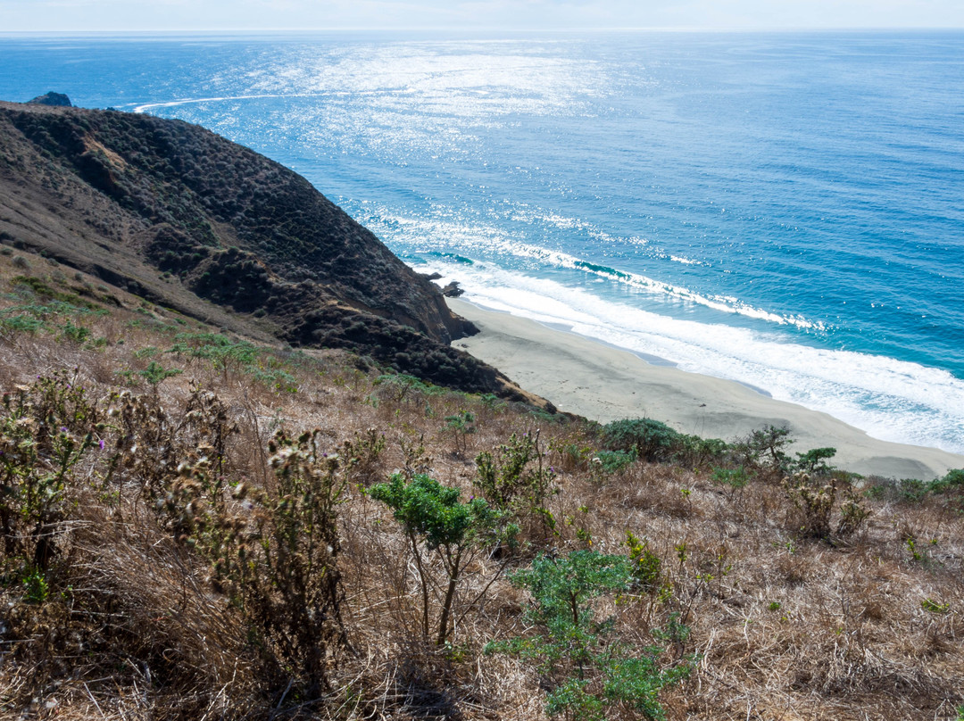 Tule Elk Preserve-Point Reyes National Seashore必去景点