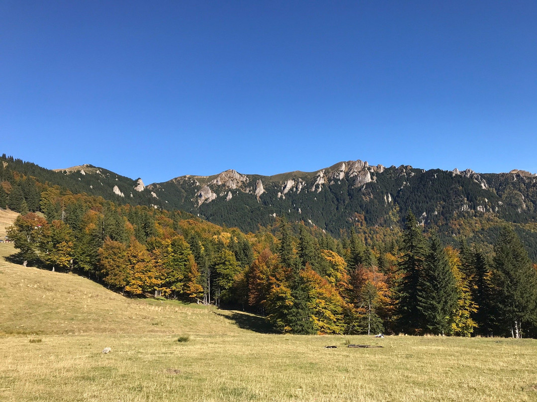 Muntele Rosu (Red Mountain)景点图片