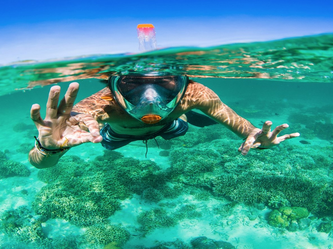 Kauai Snorkel Rentals-卡帕阿必去景点