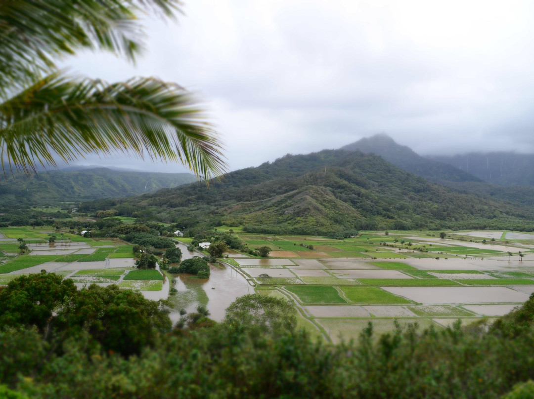 Kalani Kauai景点图片