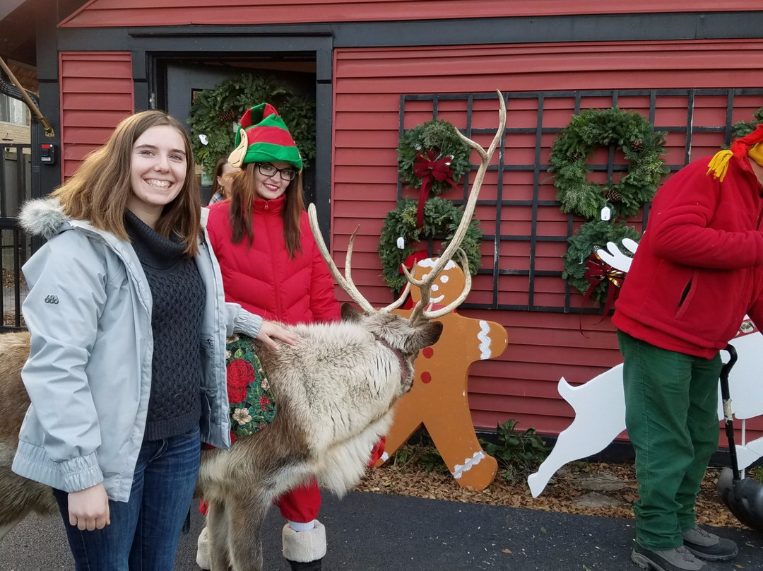 North Barrington旅游景点-Norton's U.S.A.