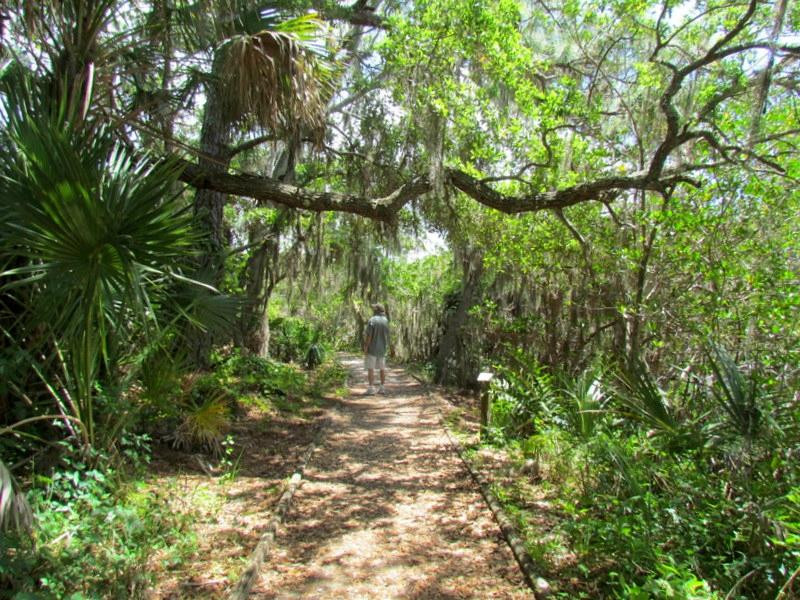 Oscar Scherer State Park