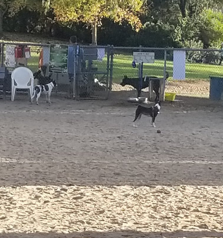 Harry Griffen Regional Park