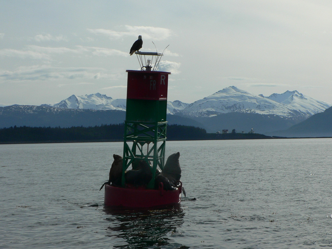 Juneau Adventures景点图片