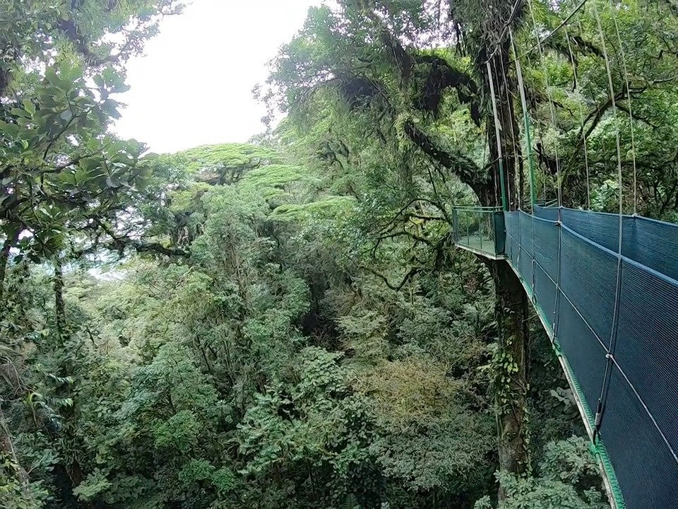 Heliconias Hanging Bridges Trails-Bijagua de Upala必去景点