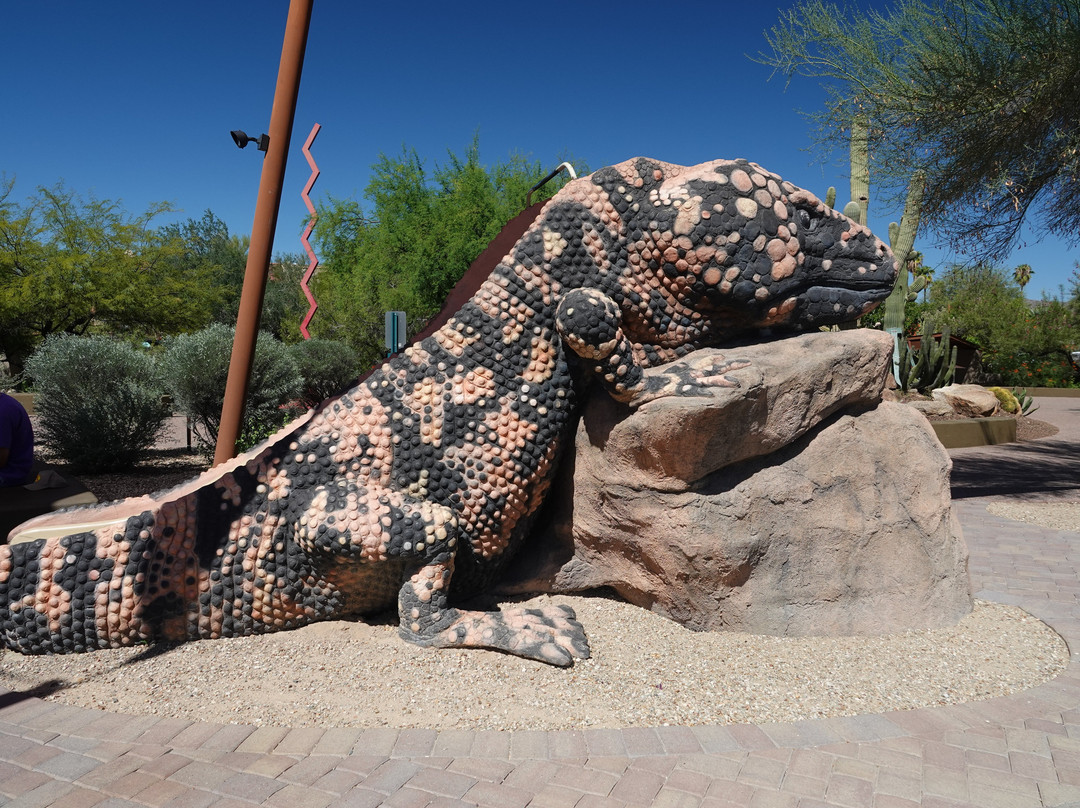 Carefree Desert Gardens-凯尔福利必去景点