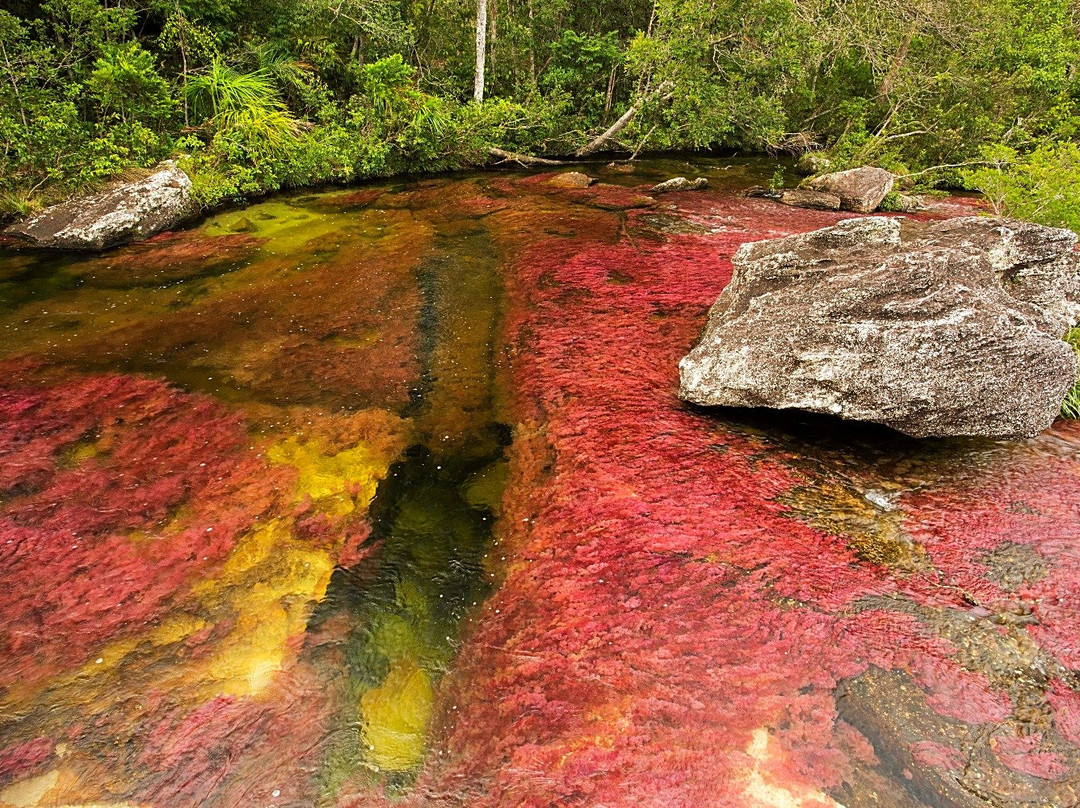 Ecoturismo Sierra de La Macarea-比亚维森西奥必去景点
