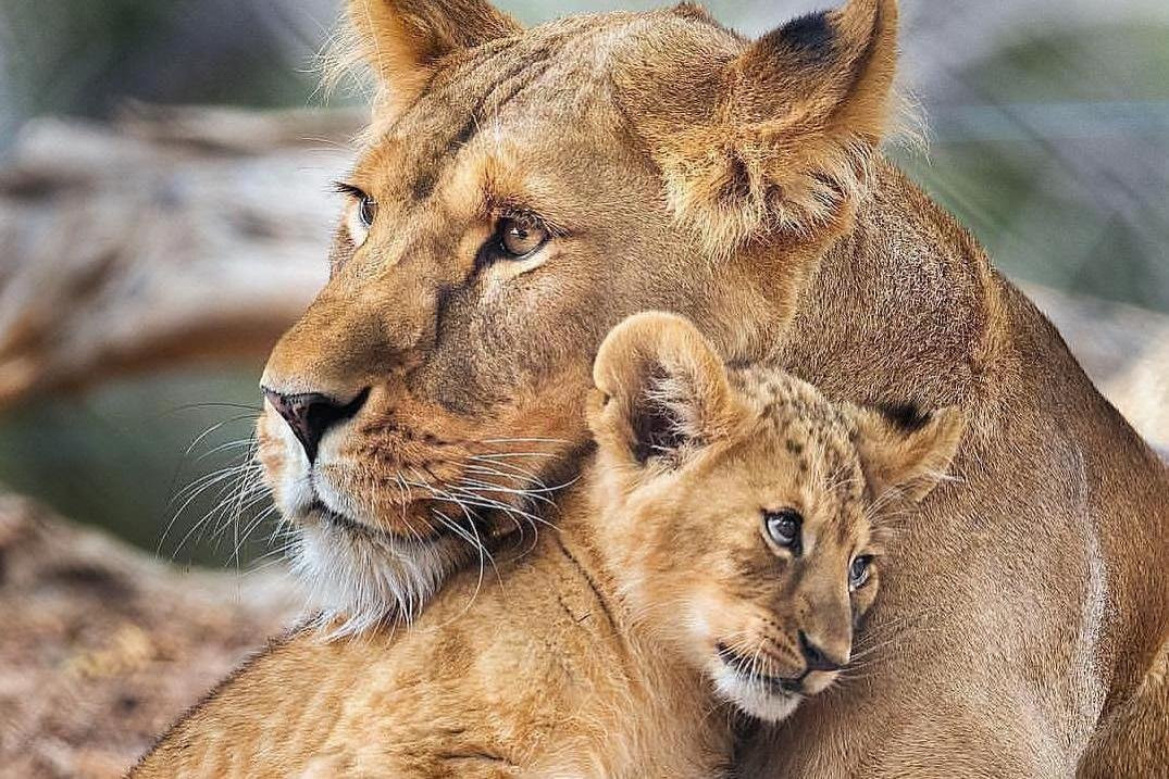 Extrema Expeditions-阿鲁沙必去景点