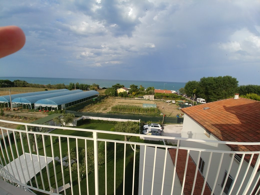 Hotel Palmensis主图