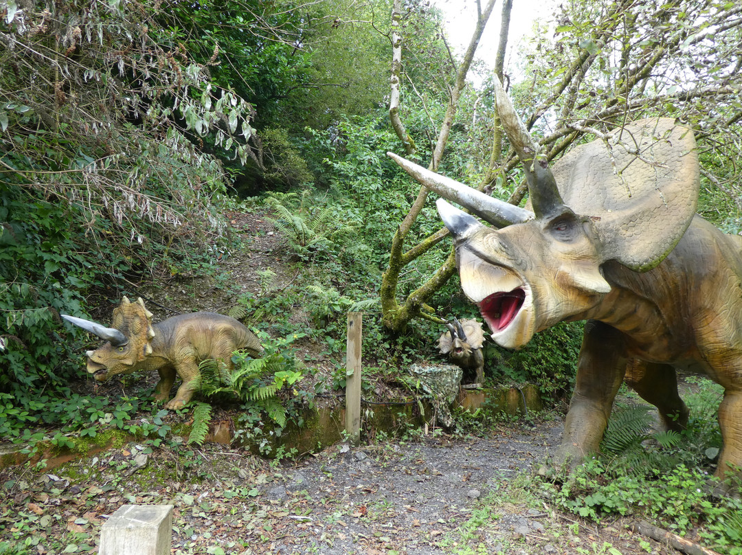 Combe Martin Wildlife and Dinosaur Park景点图片