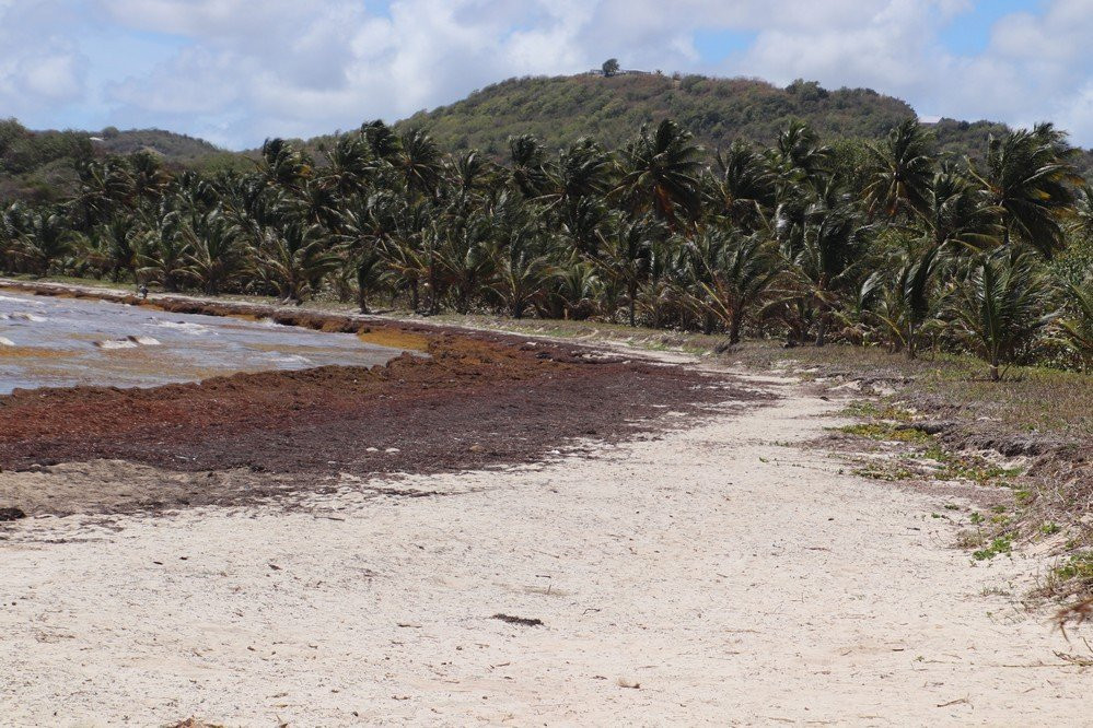 HOTEL CAP MACABOU主图