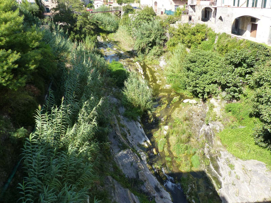 Ponte dei Cavalieri di Malta景点图片