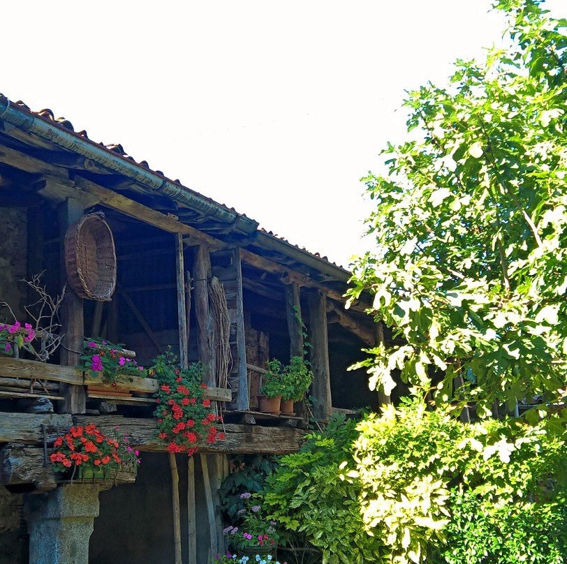 B&B Il Castello di Denisa主图