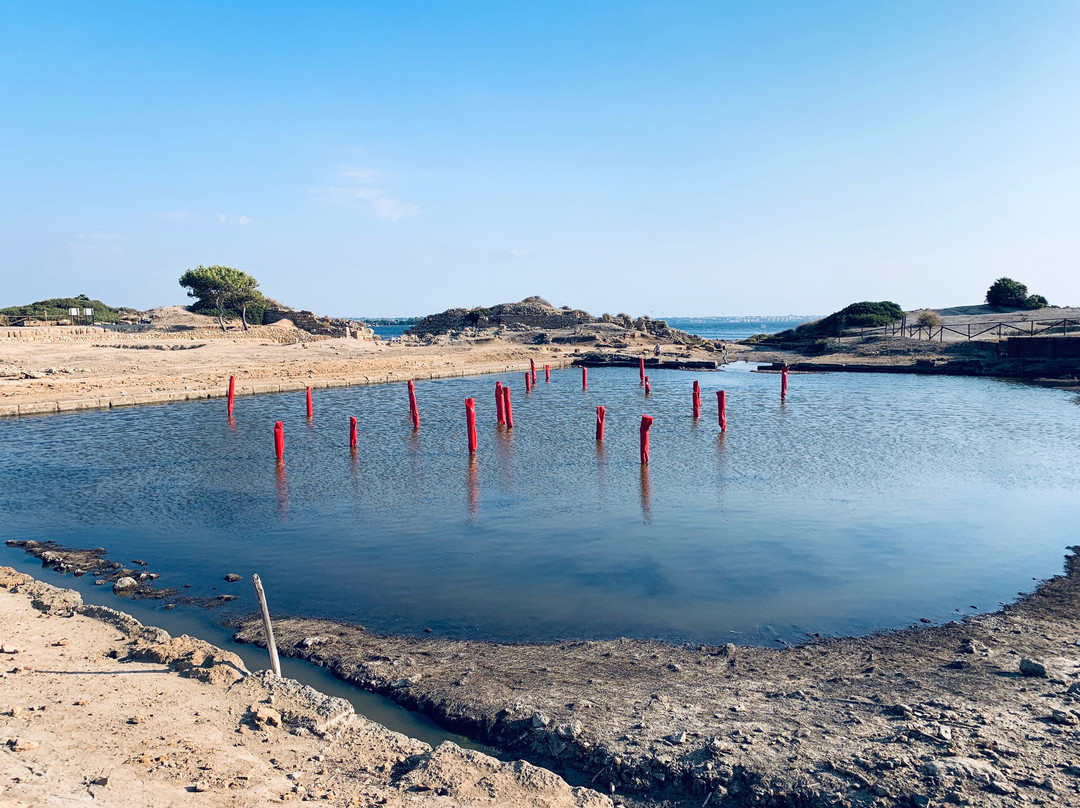 Baglio il Giovinetto B&B主图