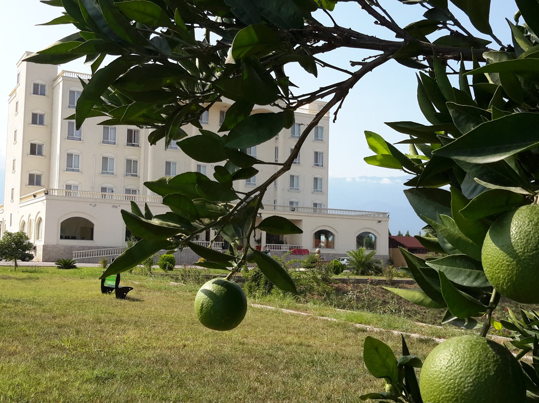 Gorgan Botanic Palace Hotel主图