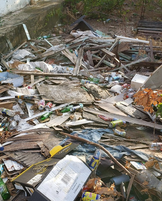 Village Chinois (Chinatown)-卡宴必去景点