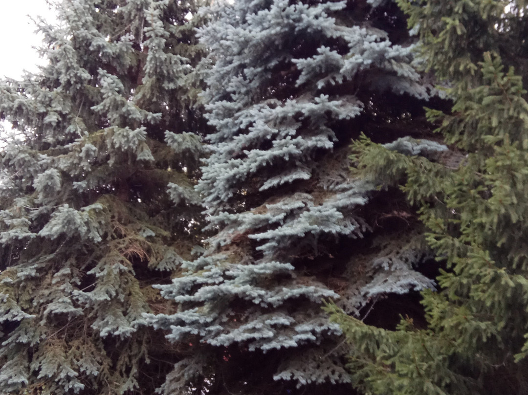 Hotel Russkiy Kapital主图