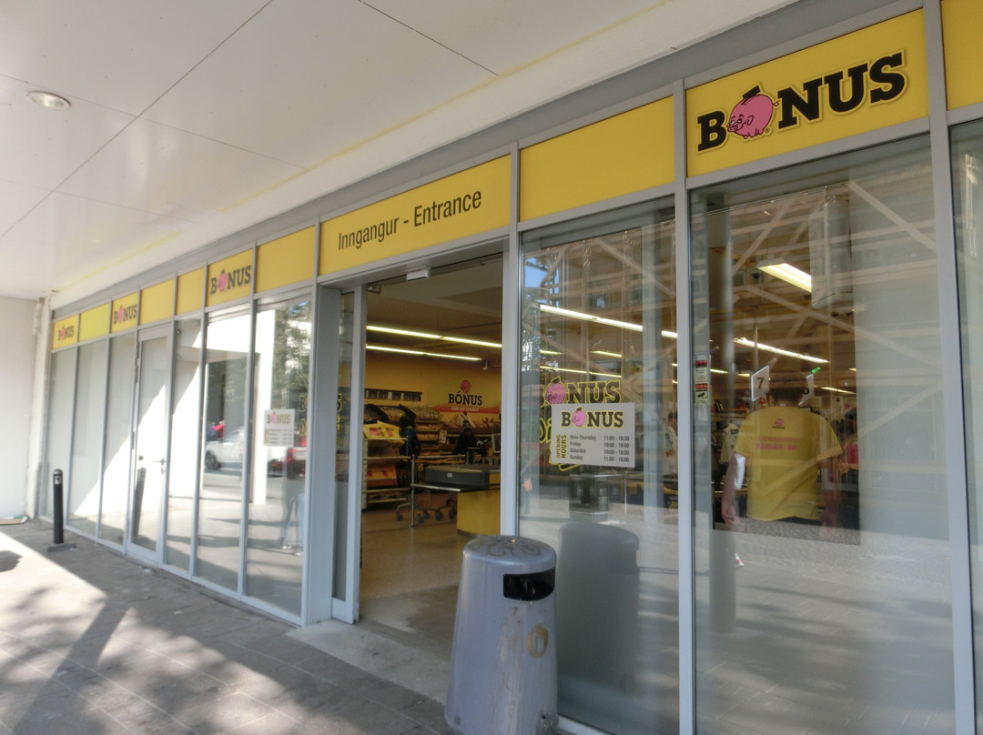 Bonus-雷克雅未克必去景点