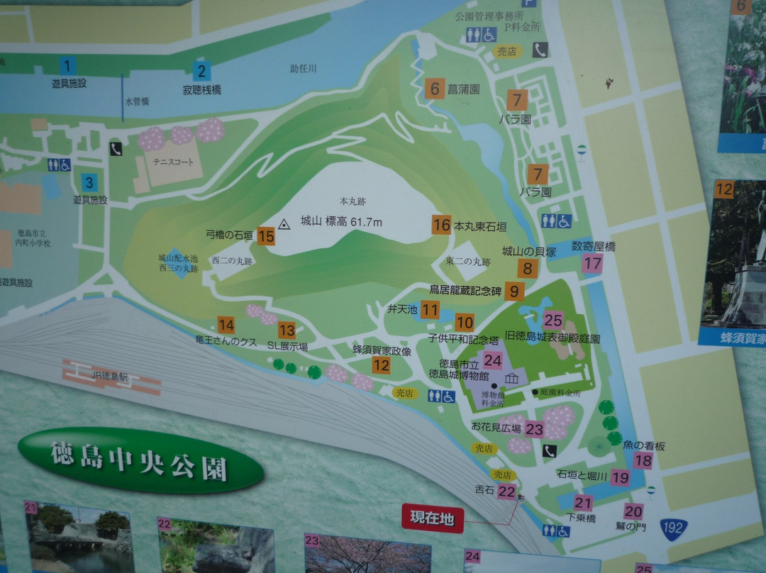 Tokushima Chuo Park-德岛市必去景点