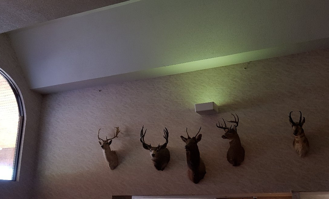 All Seasons Hotel and Resort主图