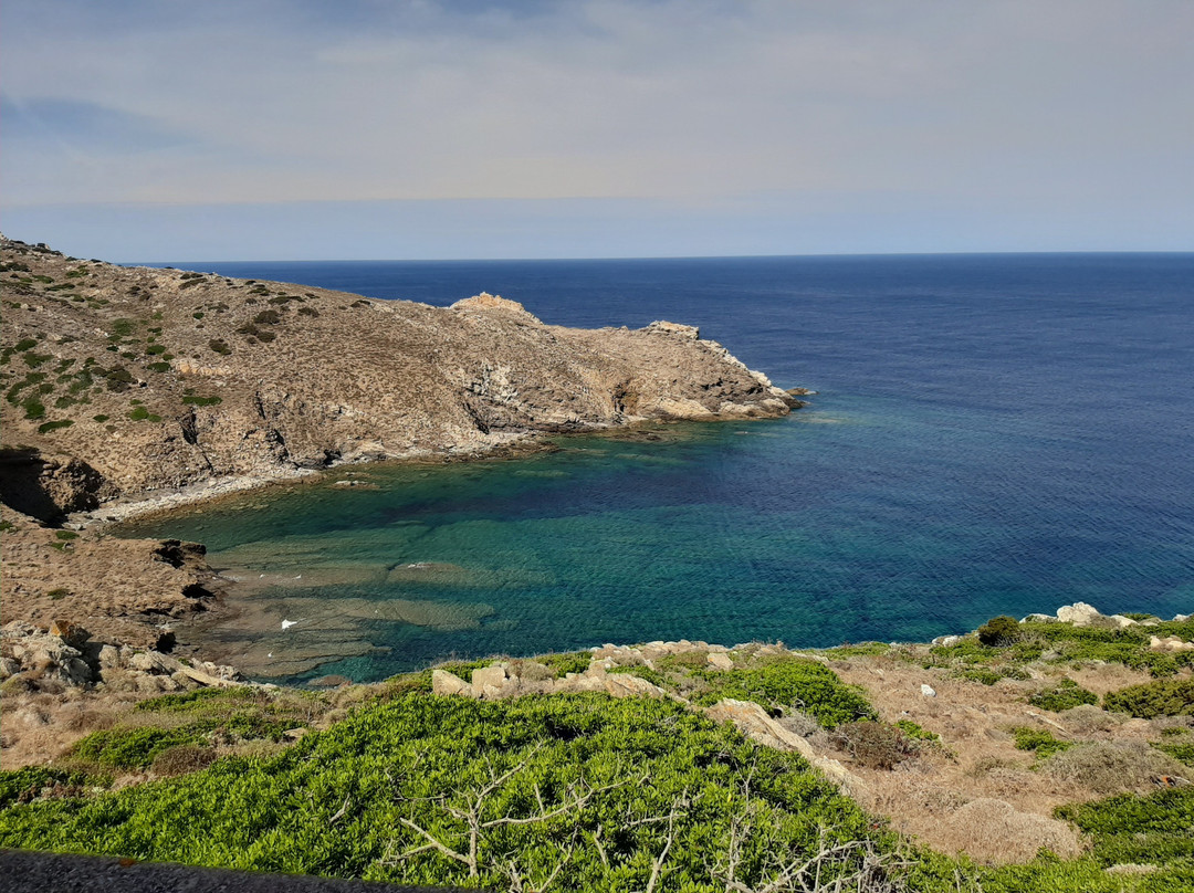Mare & Natura - Tour Parco dell'Asinara-斯廷蒂诺必去景点