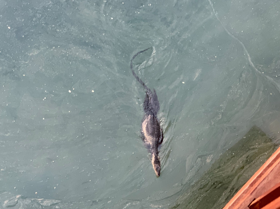 巴淡岛海景度假村主图