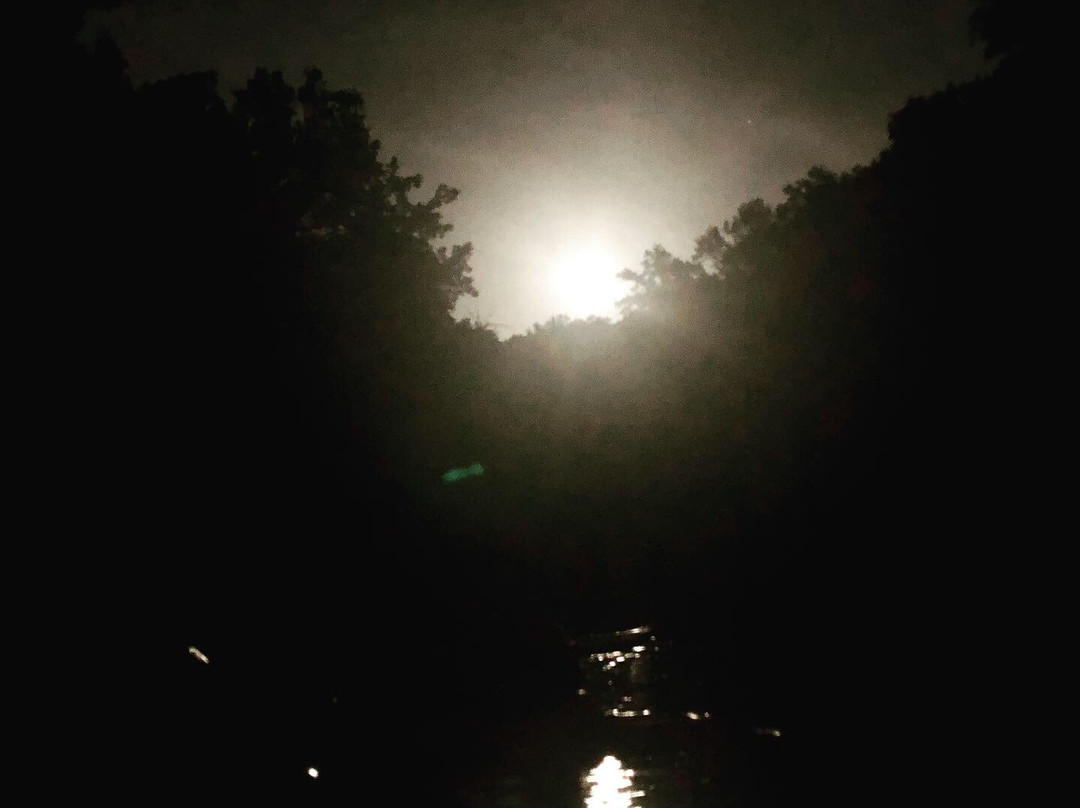 Treeline Expeditions LLC-伯明翰必去景点