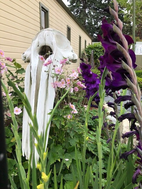 Langley Whale Center-Langley必去景点