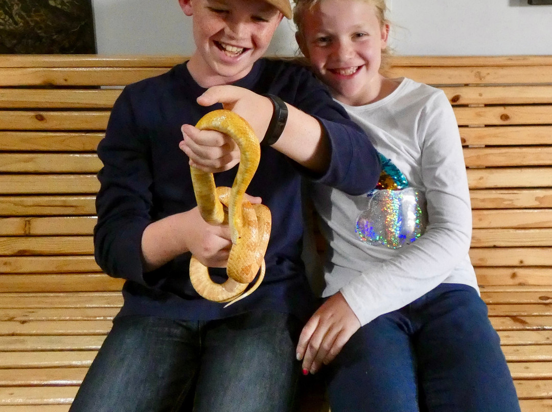 Cape Point Ostrich Farm-开普敦中心区必去景点