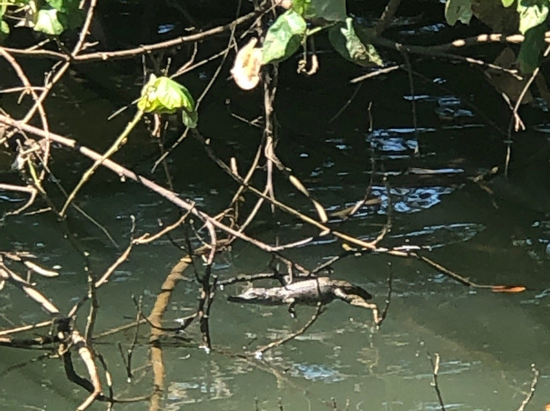 Snapping Tours-因尼斯费尔必去景点