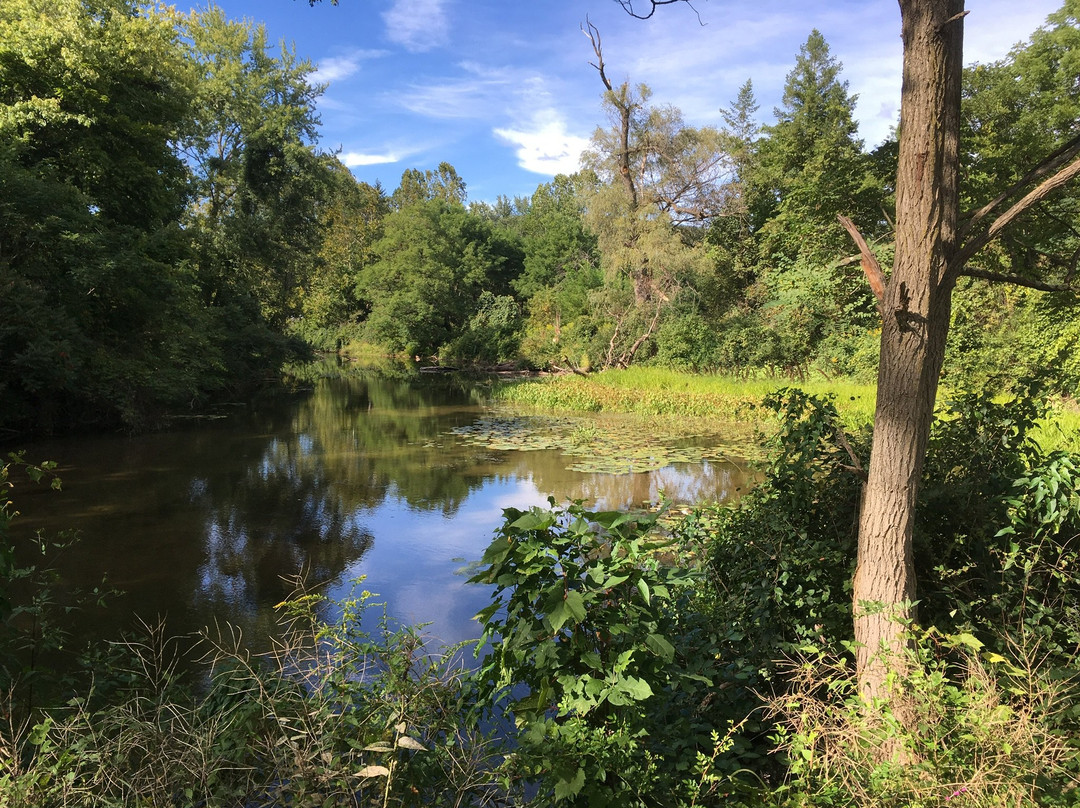 New Island Trail-Oneonta必去景点