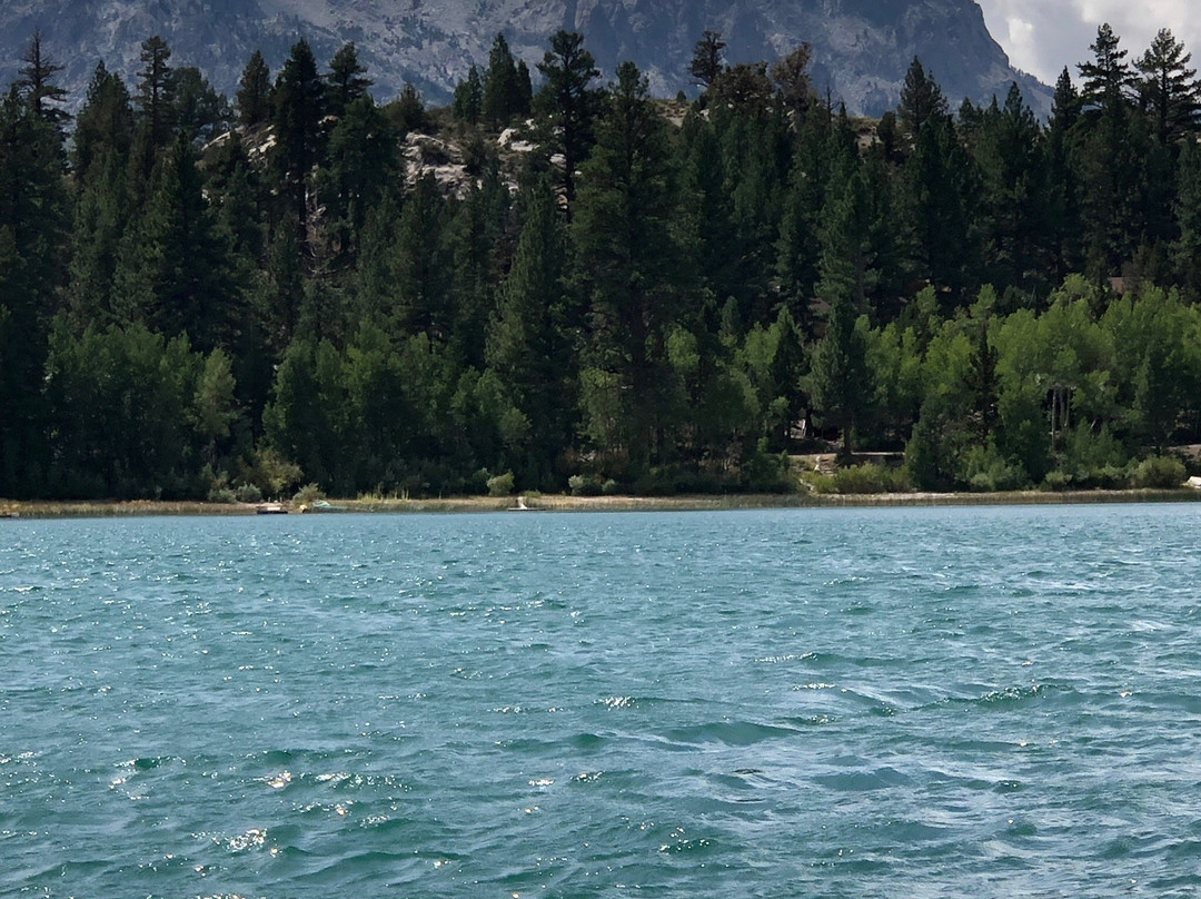 六月湖松树酒店主图