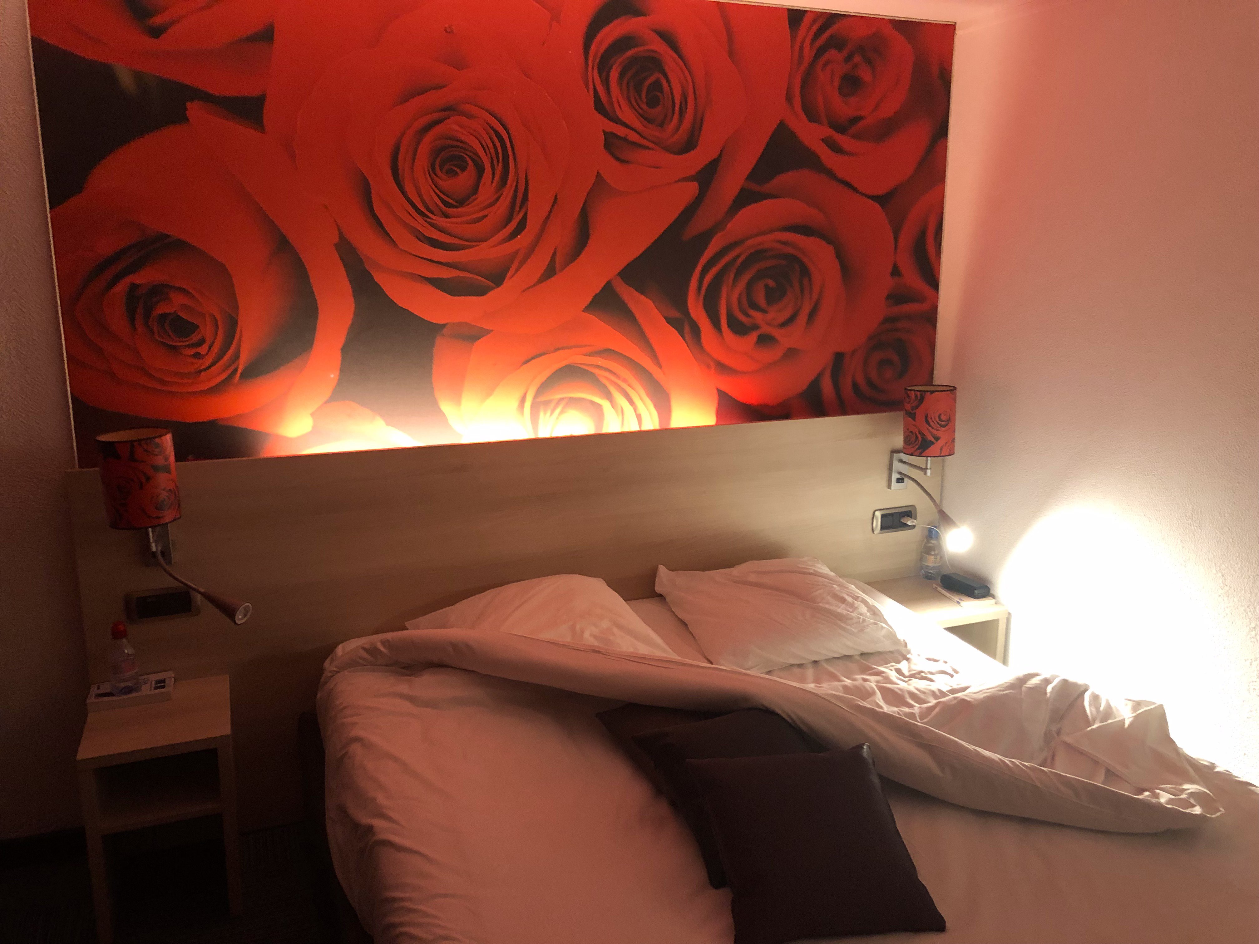 Hotel Inn Design Sable-sur-Sarthe-酒店景观