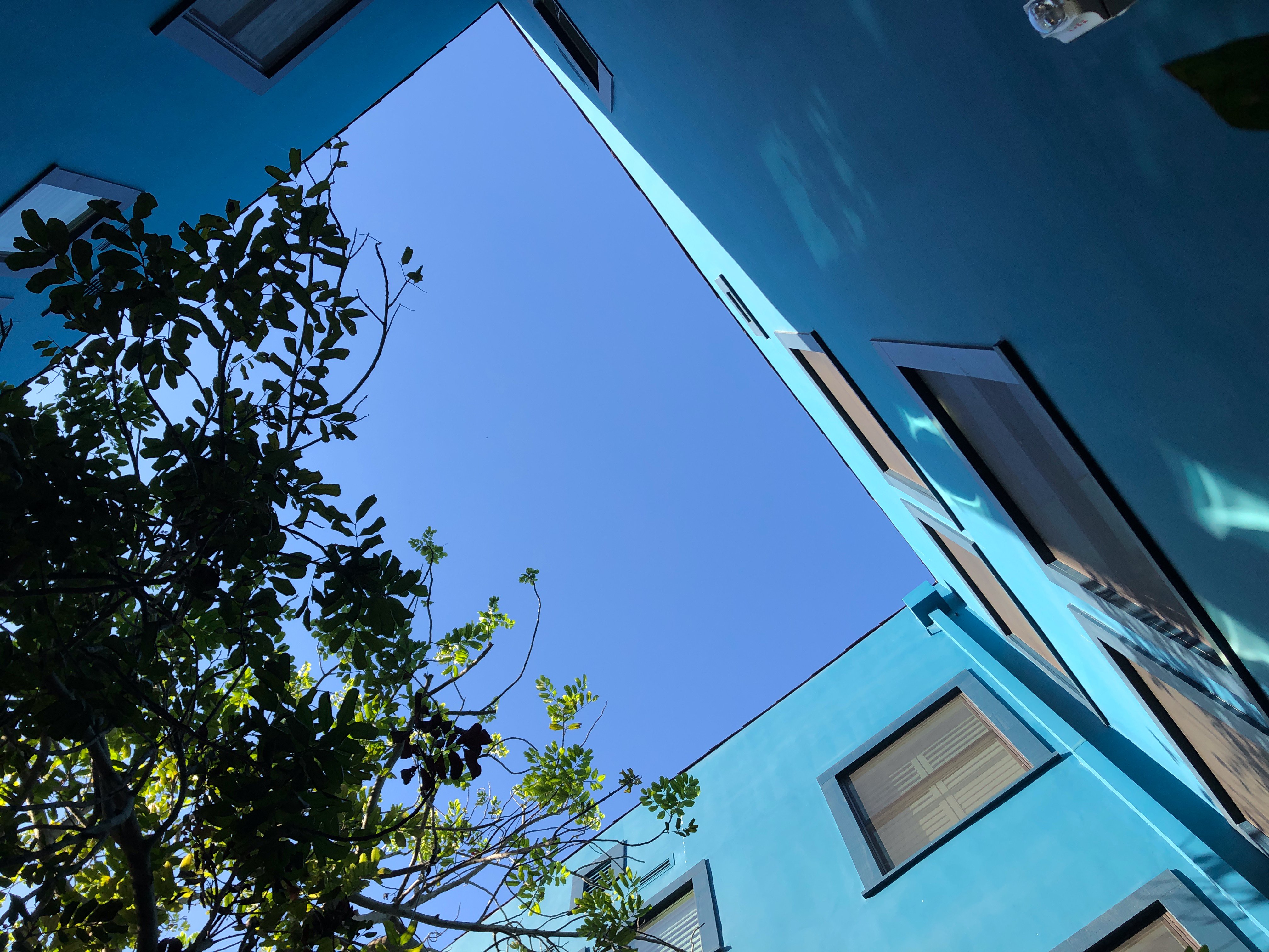 Palihotel Culver City-餐饮