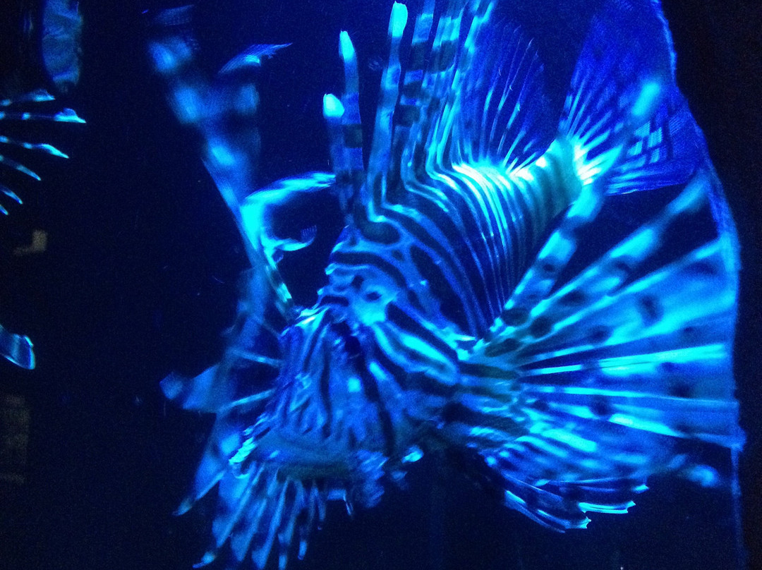 Aqua Broome-布鲁姆必去景点