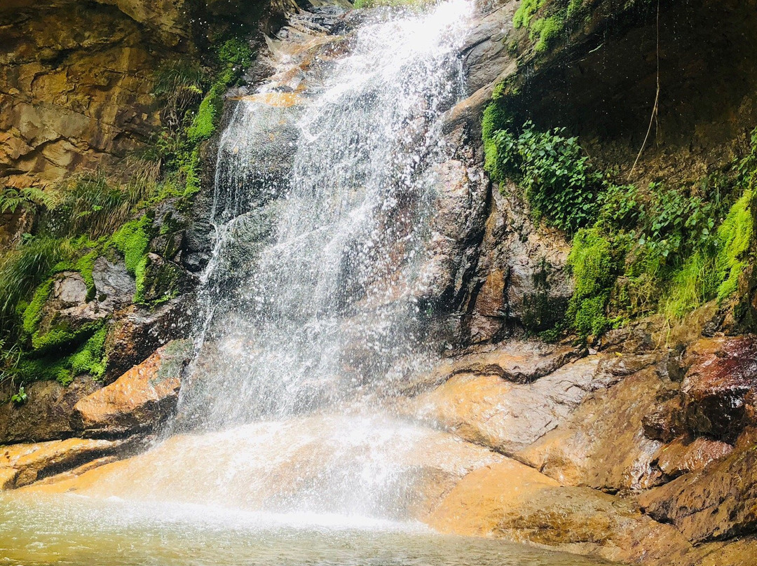 Chorros de Milla Zoo-梅里达市必去景点