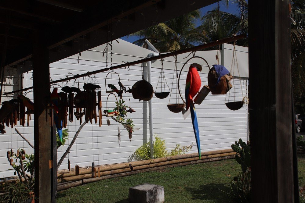 Maison de la Noix de Coco-Saint Francois必去景点