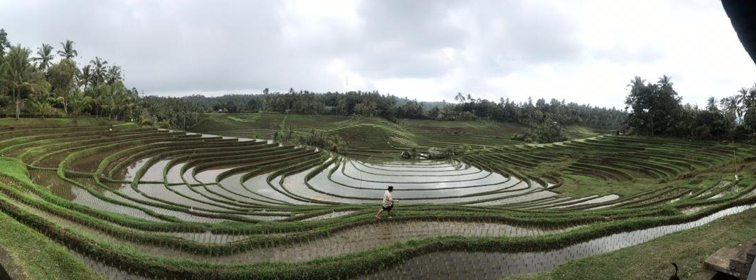 Belimbing Village-达巴南必去景点