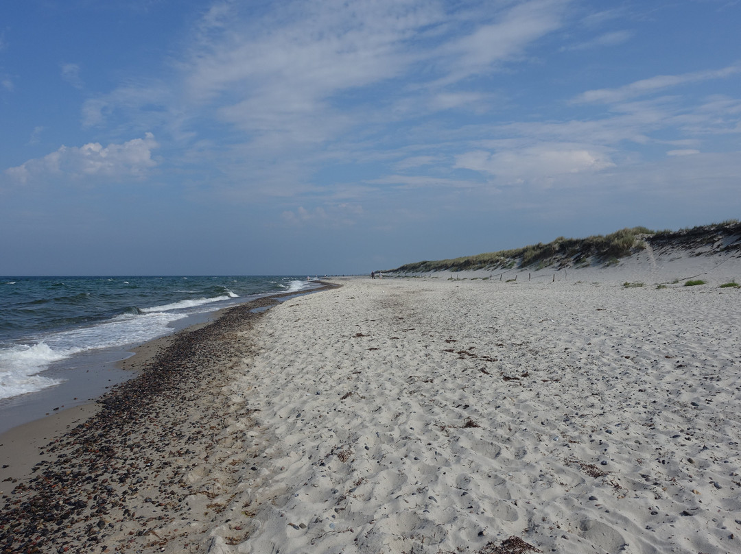 Western Pomerania Lagoon Area National Park景点图片