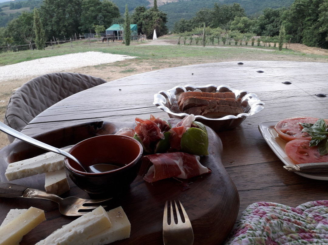 Fattoria Tègoni景点图片
