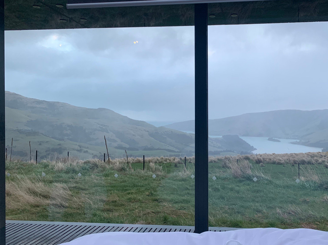 Banks Peninsula Experience景点图片