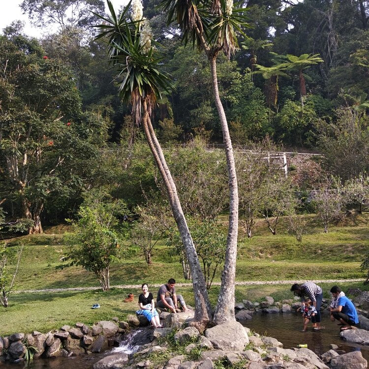 Cibodas Botanical Garden-Cianjur必去景点