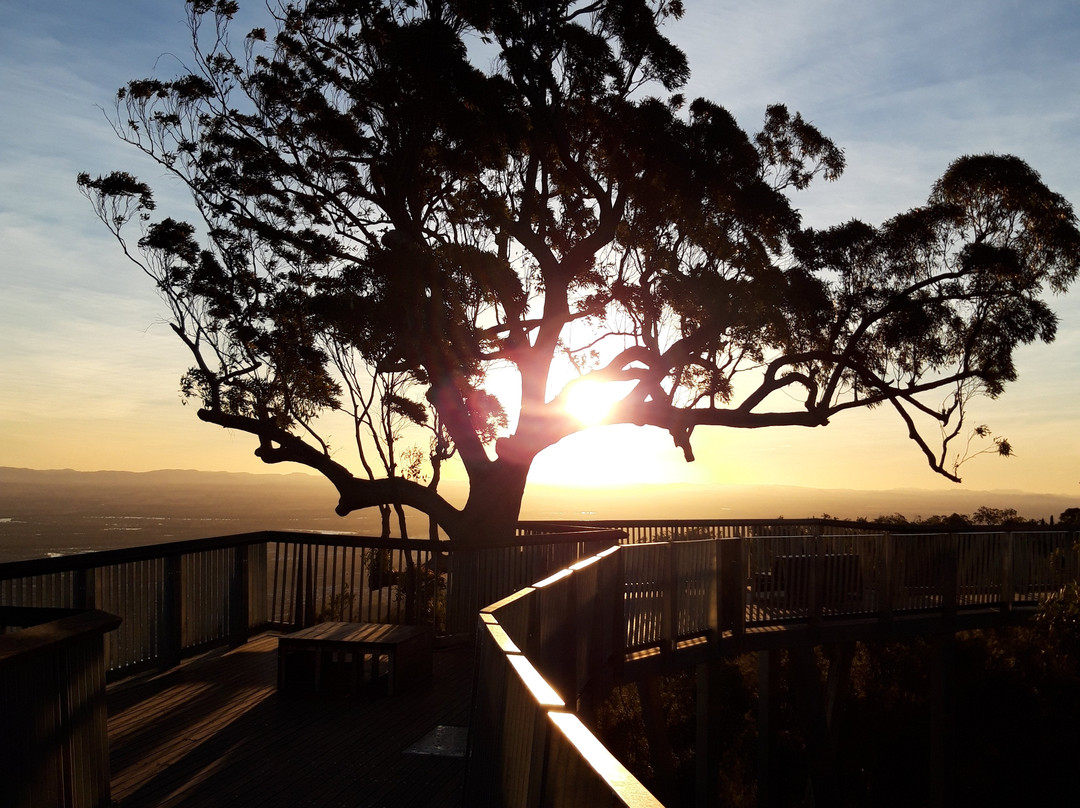 Winter Sun Motel主图