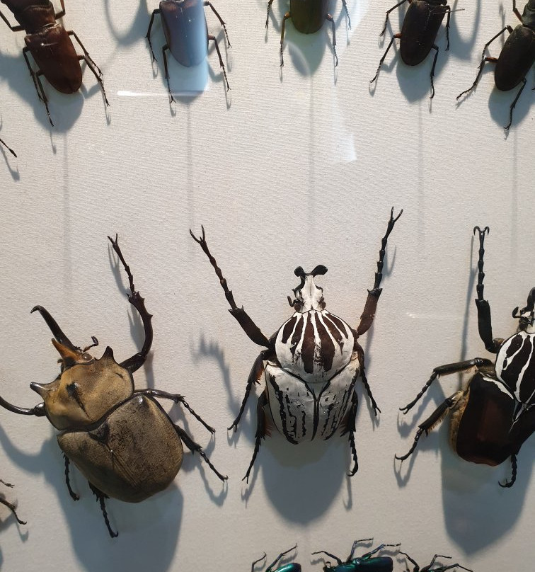 Bandi Land-茂朱郡必去景点