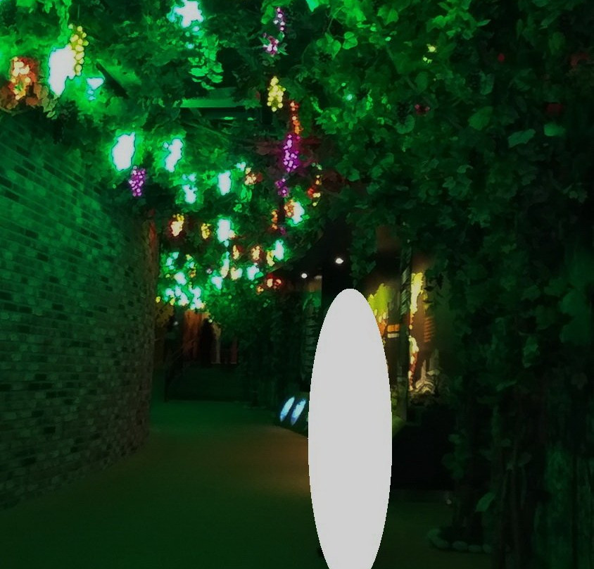 Wine Tunnel-永同郡必去景点