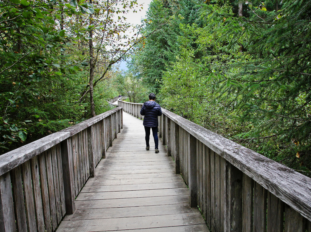 Fish Creek Wildlife Observation Site景点图片