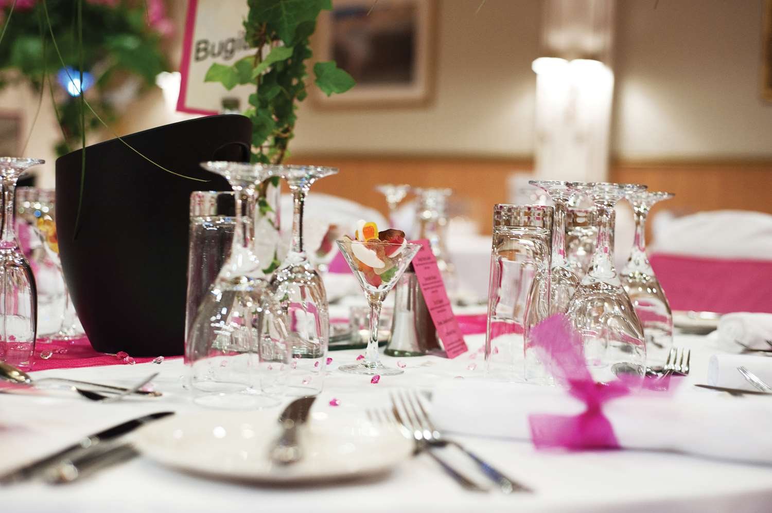 Best Western Manor Hotel & Suites-官方