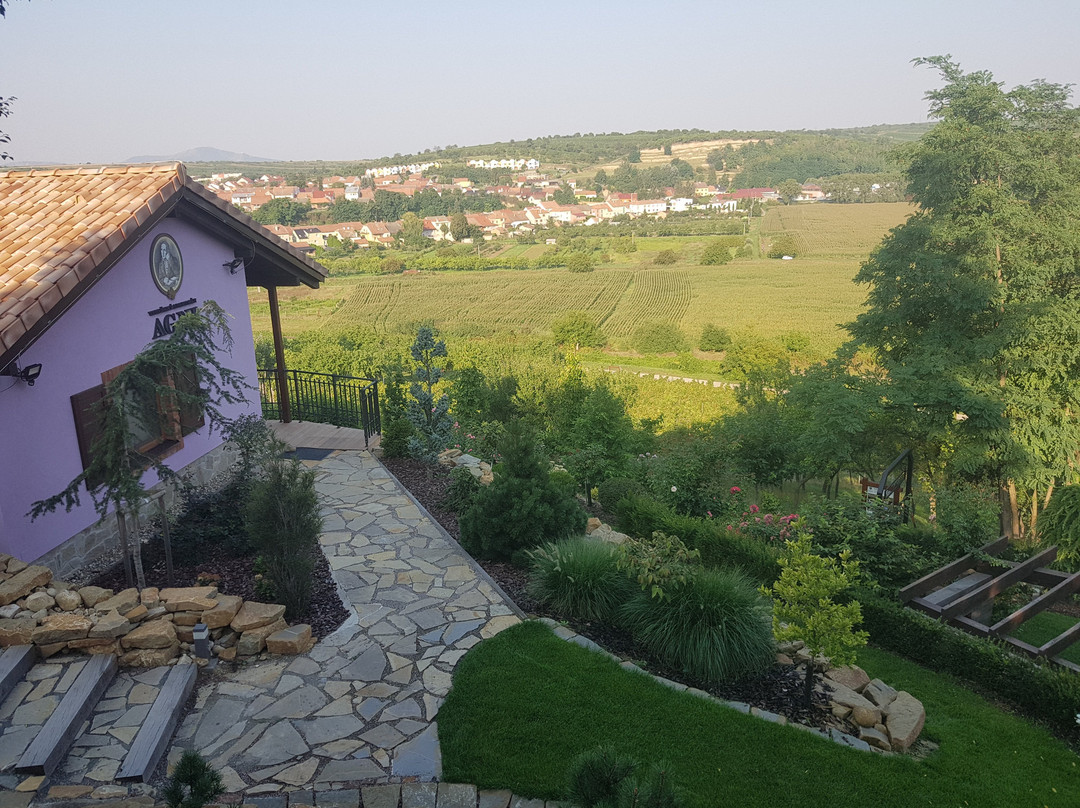 Vinarsky Pension Andre主图