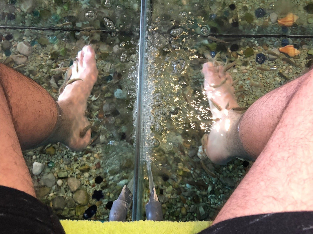Spa Aquarium-Cala Ratjada必去景点