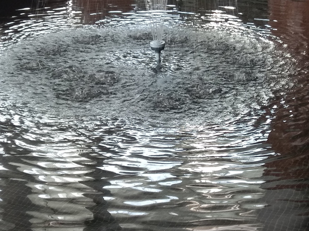 Hotel Playa La Arena主图